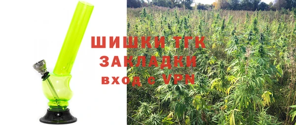 2c-b Вяземский
