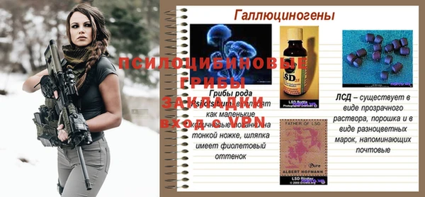 2c-b Вяземский
