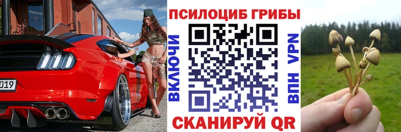 Купить закладки  Юрьевец  Галлюциногенные грибы Magic Shrooms 